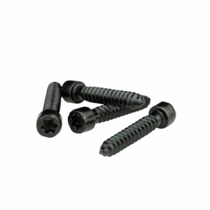 Wkręt nierdzewny Uniwersalny GARDIN do drewna i WPC (100 szt.)